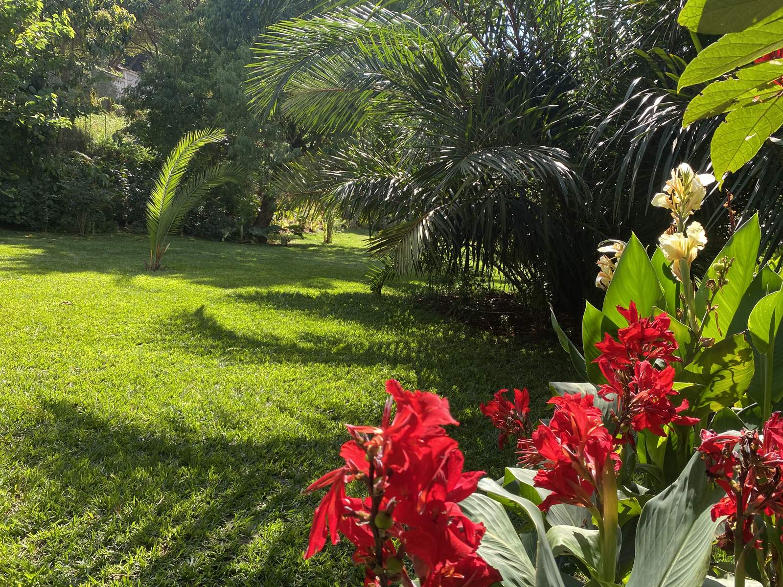 Maarifa Park - Walkway